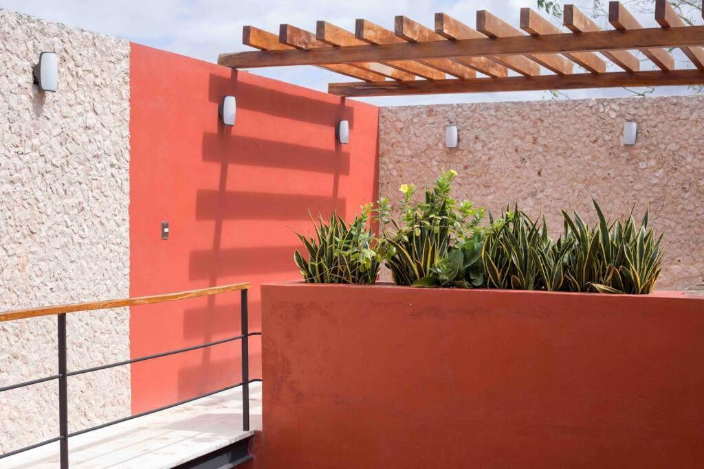Casona Xtabay, En El Centro De Valladolid Villa Valladolid  Eksteriør billede